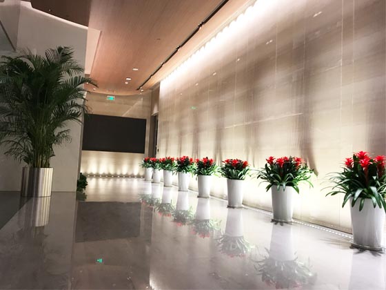 財信集團所轄物業(yè)范圍綠植租擺項目