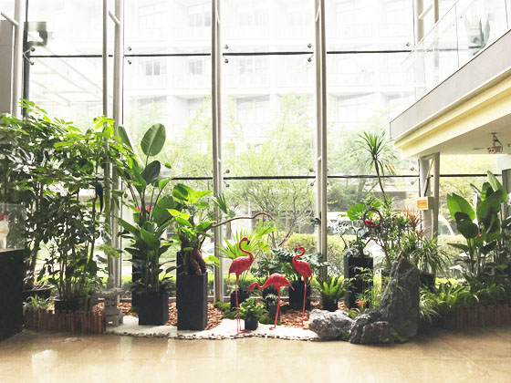 盈科律所 植物造景&綠植租賃項目