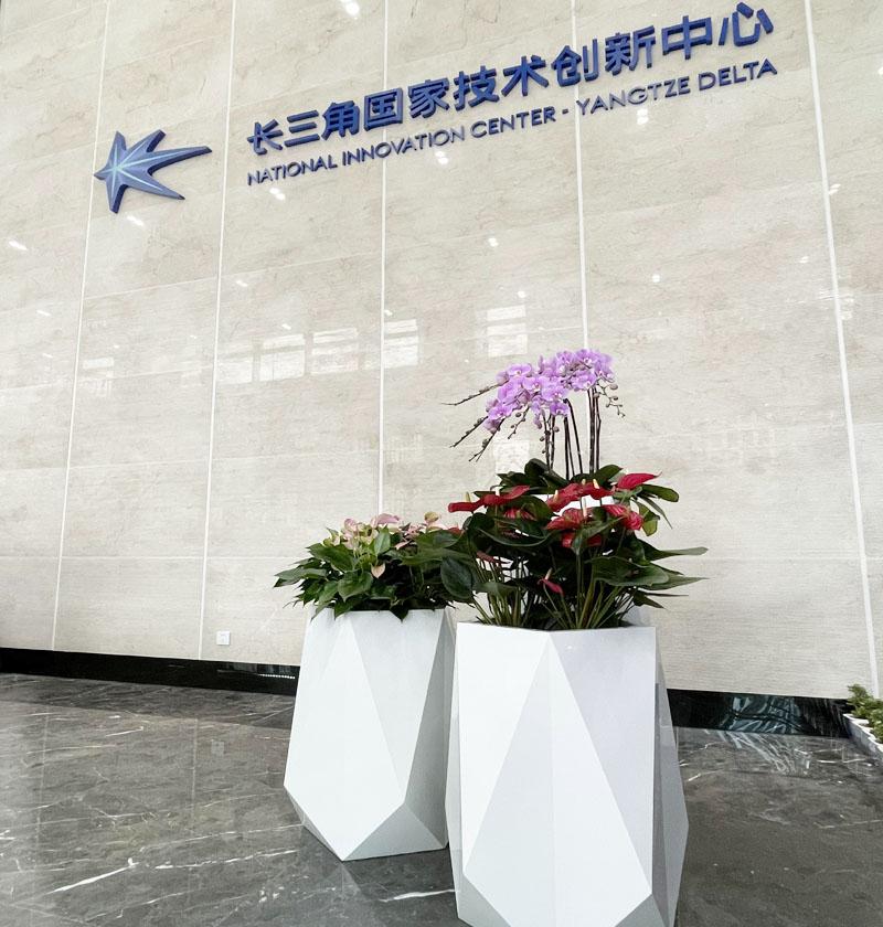 長(zhǎng)三角研究院辦公樓綠植租賃