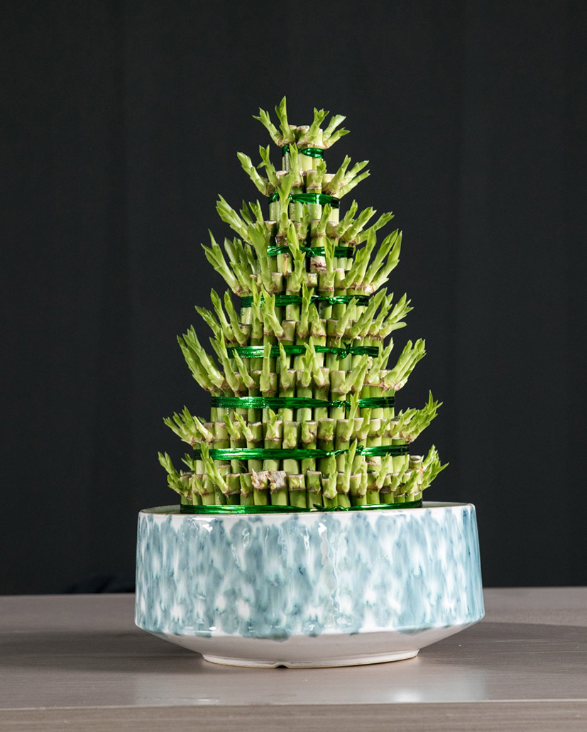 節(jié)節(jié)高