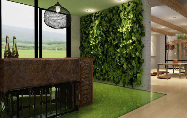 上海綠植養(yǎng)護(hù)公司淺談公司前臺(tái)綠植擺放方法