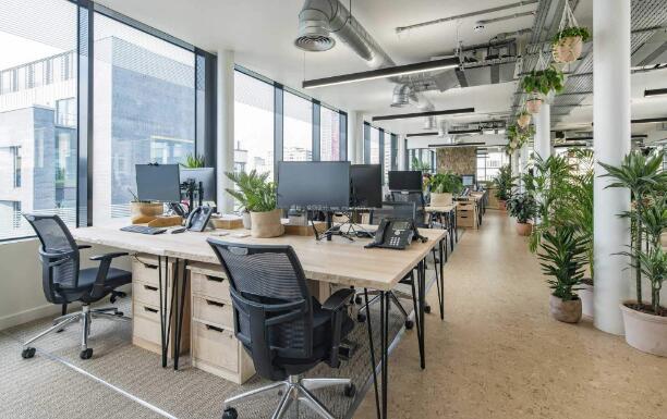 徽豐綠化為您講解綠植租賃的三個(gè)好處都是什么